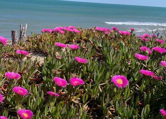 Heliopolis Naturist Luxury *